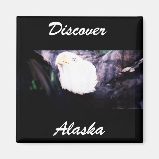 Flying Eagle Magnet (Vorne)