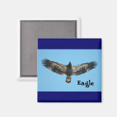 Flying Eagle Magnet (Vorderseite/Rückseite)