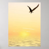 Flying Eagle Poster (Vorne)