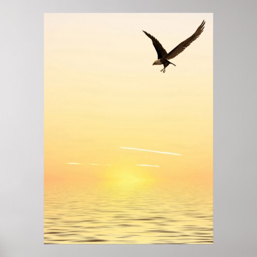 Flying Eagle Poster (Vorne)