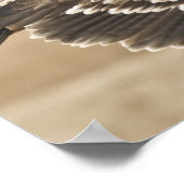 Flying Eagle Poster Print (Ecke)
