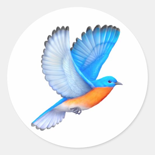 Flying Eastern Bluebird Stickers (Vorderseite)
