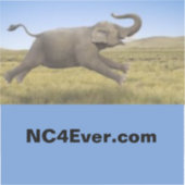 Flying Elephant-Laptop-Aufkleber von NC4Ever.com Aufkleber (Vorderseite)