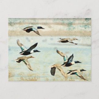 Flying Encks Wassercolor Postcard Postkarte
