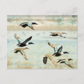 Flying Encks Wassercolor Postcard Postkarte (Vorderseite)