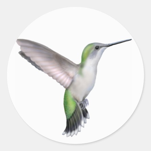 Flying Female Ruby Throated Hummingbird Sticker (Vorderseite)