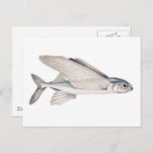 Flying Fish Exocoetidae Postkarte (Vorne/Hinten)