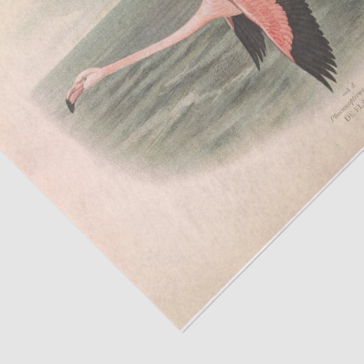 Flying Flamingo Bird Ephemera Decoupage Seidenpapier (Ausschnitt)