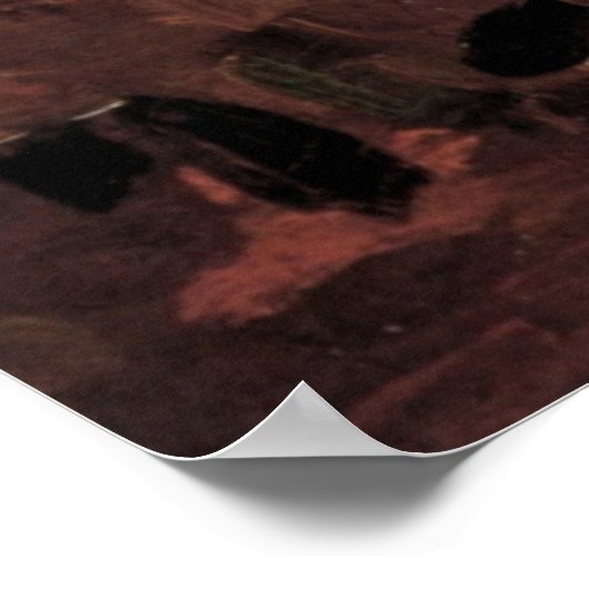 Flying Fox Bat von Vincent van Gogh Poster (Ecke)