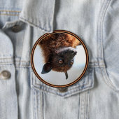 Flying Fox Button (Beispiel)