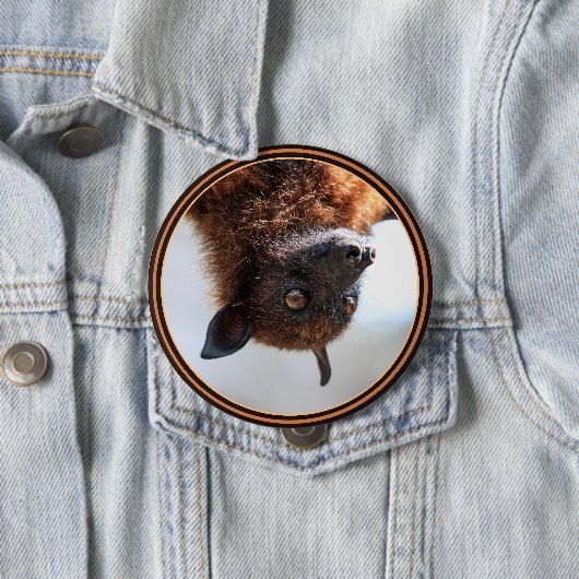 Flying Fox Button (Beispiel)