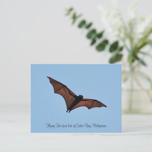 Flying Fox-Fruchtbart aus Subic Bay Postkarte (Stehend Vorderseite)