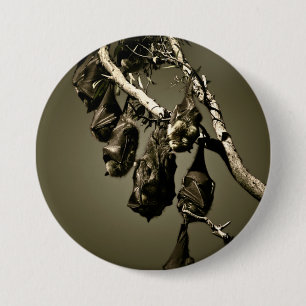 Flying Foxes Button