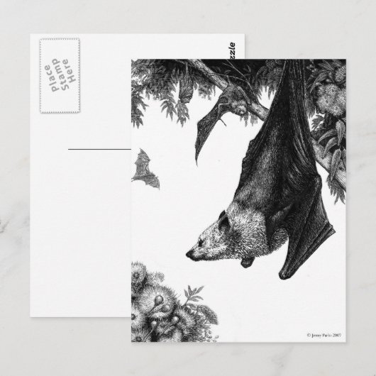 Flying Foxes Postcard Postkarte (Vorne/Hinten)
