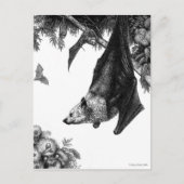 Flying Foxes Postcard Postkarte (Vorderseite)