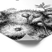 Flying Foxes Poster/Prints Poster (Ecke)