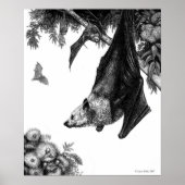 Flying Foxes Poster/Prints Poster (Vorne)