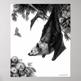 Flying Foxes Poster/Prints Poster