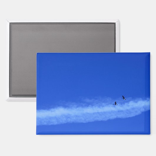 Flying Gese Magnet (Vorderseite/Rückseite)