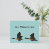 Flying Gese Postcard Postkarte (Stehend Vorderseite)