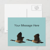 Flying Gese Postcard Postkarte (Vorne/Hinten)