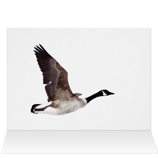 Flying Goose (Innenansicht Horizontal (Oben))