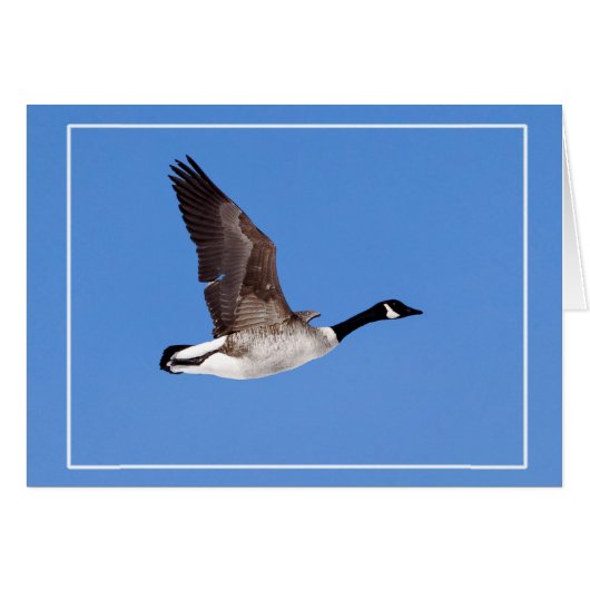 Flying Goose (Vorderseite (Horizontal))