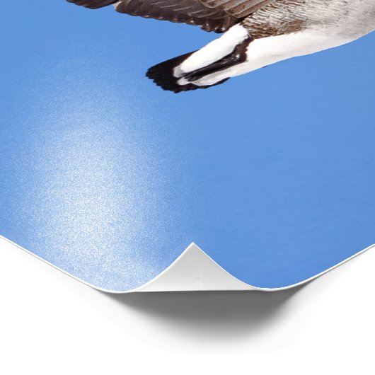 Flying Goose Fotodruck (Ecke)