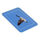 Flying Goose Magnet (Rechte Seite)