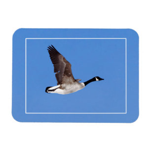 Flying Goose Magnet