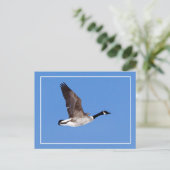 Flying Goose Postkarte (Stehend Vorderseite)