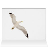 Flying Gull (Innenansicht Horizontal (Oben))