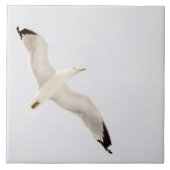 Flying Gull Fliese (Vorderseite)