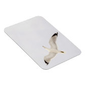 Flying Gull Magnet (Rechte Seite)