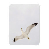 Flying Gull Magnet (Vertikal)