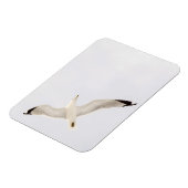 Flying Gull Magnet (Linke Seite)