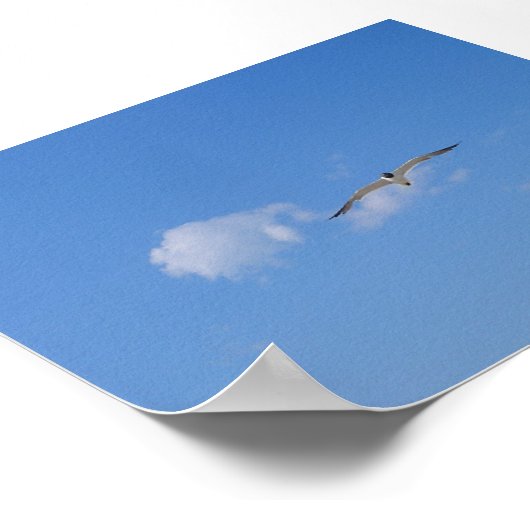 Flying Gull Poster (Ecke)