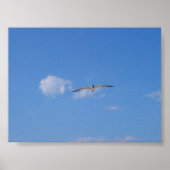 Flying Gull Poster (Vorne)