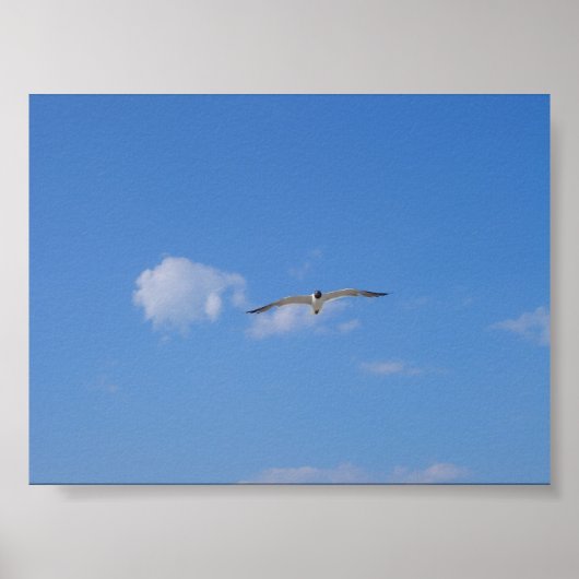 Flying Gull Poster (Vorne)