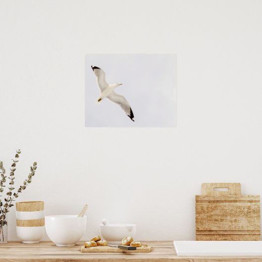Flying Gull Poster (Küche)