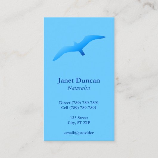 Flying Gull Visitenkarte (Vorderseite)