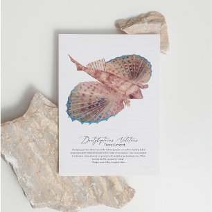 Flying Gurnard Postcard Feiertagspostkarte