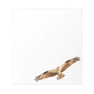 Flying Hawk Notepad Notizblock