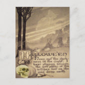 Flying Hexe Postkarte (Vorderseite)