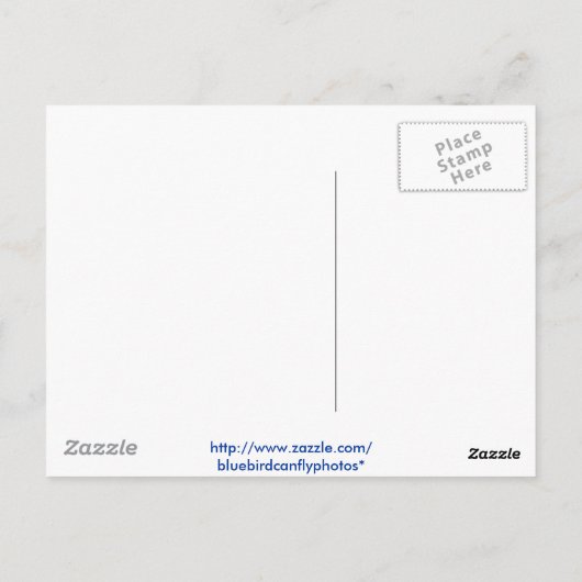 Flying High, bei xlta! Postkarte (Rückseite)