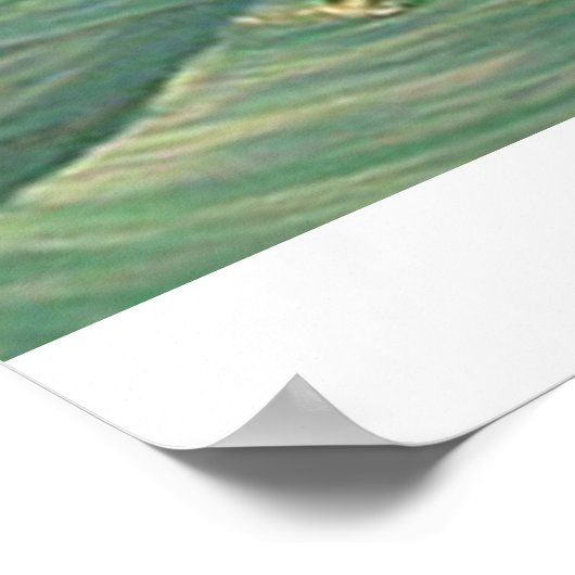 "Flying High" Poster (Ecke)