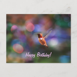 Flying Hummingbird und farbenfroher Hintergrund Postkarte