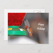 Flying Hummingbird und Hummingbird Feeder Feiertagspostkarte (Vorne/Hinten)