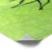 Flying Insecke Nah Poster (Ecke)
