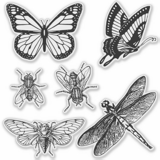 Flying insects transparent stickers aufkleber (Vorderseite)